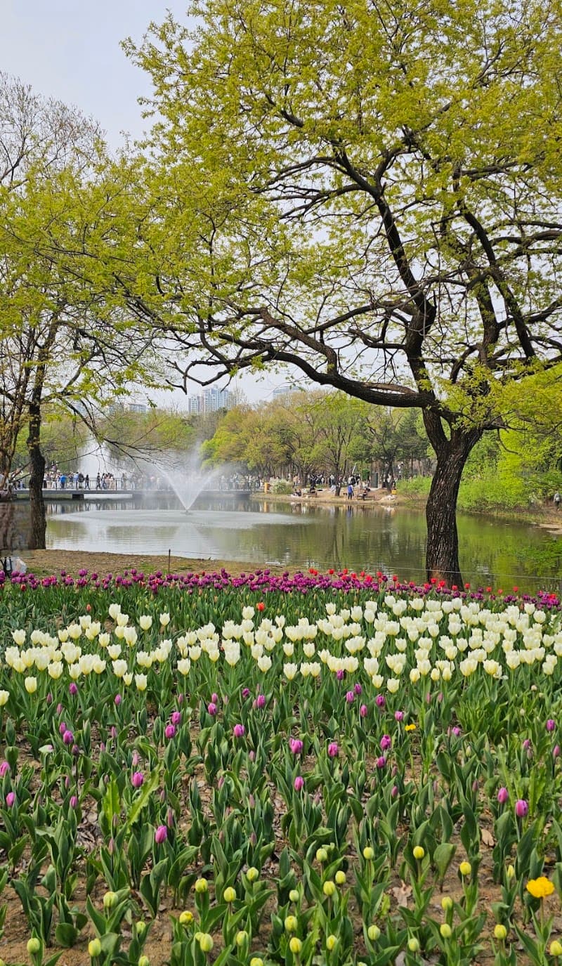 Seoul Forest